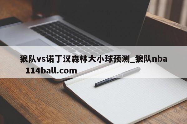 狼队vs诺丁汉森林大小球预测_狼队nba  114ball.com