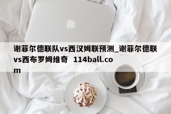 谢菲尔德联队vs西汉姆联预测_谢菲尔德联vs西布罗姆维奇  114ball.com