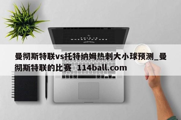 曼彻斯特联vs托特纳姆热刺大小球预测_曼彻斯特联的比赛  114ball.com
