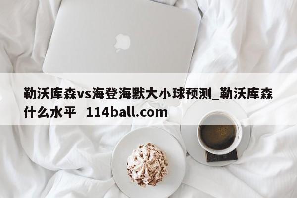 勒沃库森vs海登海默大小球预测_勒沃库森什么水平  114ball.com