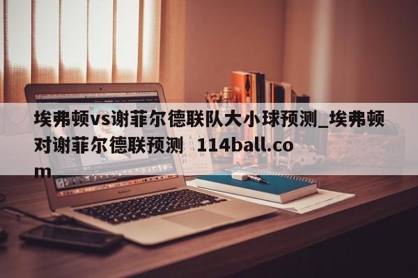 埃弗顿vs谢菲尔德联队大小球预测_埃弗顿对谢菲尔德联预测  114ball.com